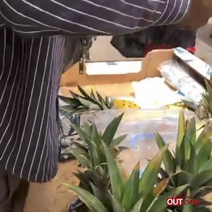 40K views · 1.7K reactions | The two power lyricists from T-Town Mahaa D Hammer and the fast growing dancehall star Antou D Lastin paired and released this hit. Check on YouTube for the whole music video. | Citizen Outlook | Facebook