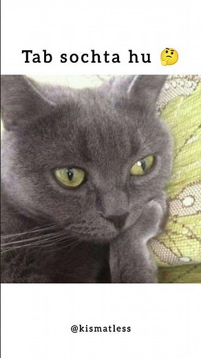 Mobile 😅#catmemes #funnymemes#viralshorts #funnyshorts#memes#trendingshorts #trendingmemes