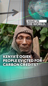 The Ogiek people are one of the last hunter-gather communities in east Africa. But now they are facing eviction from their ancestral home in the Mau Forest by the Kenyan government, which claims to be protecting the ecosystem. The Ogiek people say it is actually about lucrative carbon capture schemes. #News #Channel4News #Ogiek #CarbonCredit #MauForest #Kenya #Africa #ClimateNews | Channel 4 News