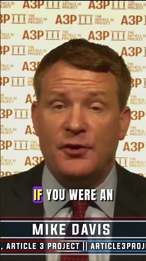 Mike Davis: Illegals’ Kids Are NOT Citizens