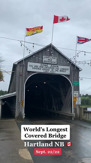 petergilliesbones on TikTok