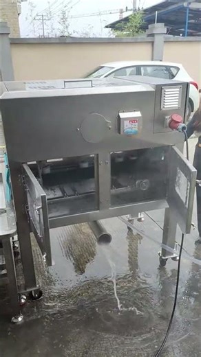 Easy Fish Scale Removal: Perfect for Tilapia, Silver Carp, Grass Carp, Salmon, & More