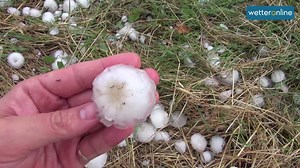 12K views · 132 reactions | Milliardenschäden, Platzwunden, durchschlagene Fenster: Viele wisse nicht, wie groß und gefährlich Hagel in Deutschland werden kann. Daher erklärt uns Wetterreporter Marco Kaschuba im zweiten Teil der Themenwoche Gewittergefahren alles zum Thema Hagel. Habt ihr schon mal großen Hagel erlebt? Hier geht's zum ersten Teil zum Thema Blitze: www.wetteronline.de/wetter-videos/2016-05-09-tw | WetterOnline | Facebook
