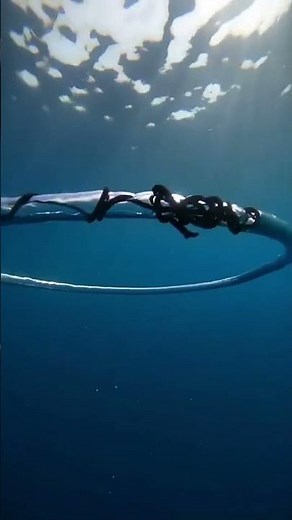 Beautiful Relaxing Coral Reef Fish - Relaxing Sleep Meditation Music -Aquarium 4K VIDEO #wildlife