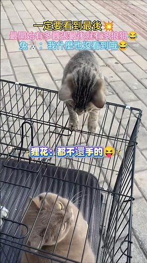 Be sure to watch until the end! 💥 The more arrogant they are at the beginning, the more pathetic ...