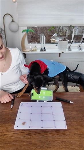 🎮 Part 1 | Playing Dots & Boxes: Chicken Hearts