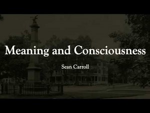 Meaning and Consciousness: Sean Carroll