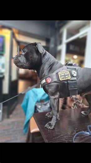 23K views · 1.1K reactions | Day 1666 Goood morning, got em, my HMS. Dad, true to his word. Aunty's and Uncles plus food, what a morning. Working breakfast, calendars,cards, and jigsaws❤️ VIVAT REX ICH DIEN ❤️ | Watchman | Facebook