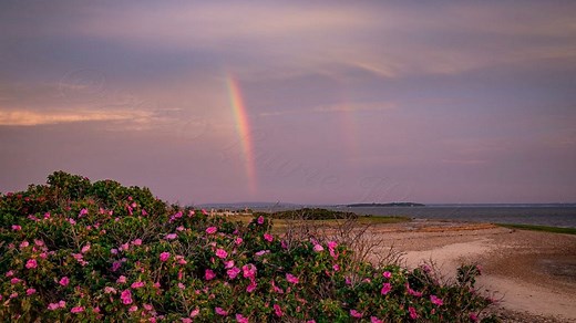 These 7 Massachusetts beaches were called the best to visit this summer, here's why