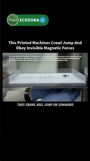 Magnetic Robots Move Without Motors 🤖 #science #robots #future #tech #innovation
