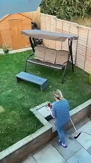 #funny | Sabine Johnson