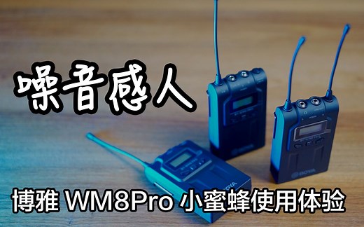 小蜜蜂噪音感人？！博雅WM8Pro使用体验
