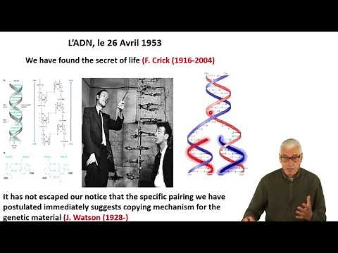 Course No. 11: Molecular Genetics I. DNA: Genetic Material
