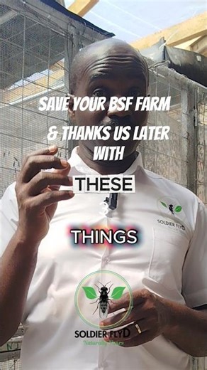 Don't start your BSF farm until you watch this! ⚠️🚫 #farming #insectfarming