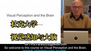 杜克大学《视觉感知与大脑|Visual Perception and the Brain》中英字幕_哔哩哔哩_bilibili