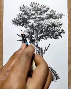 Art of Making a Realistic Tree | Did you know?