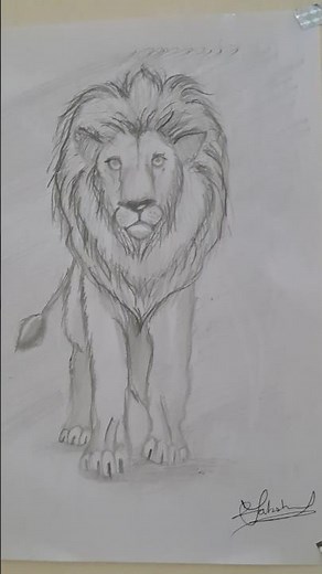how to draw mufasa the lion king