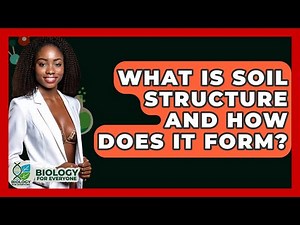 What Is Soil Structure And How Does It Form? - Biology For Everyone