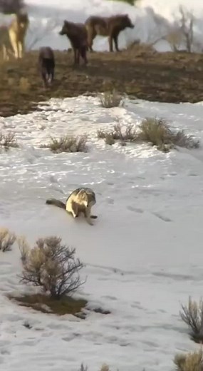 حسابات مقترحة