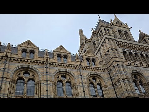 Natural history museum virtual tour 4k 60fps