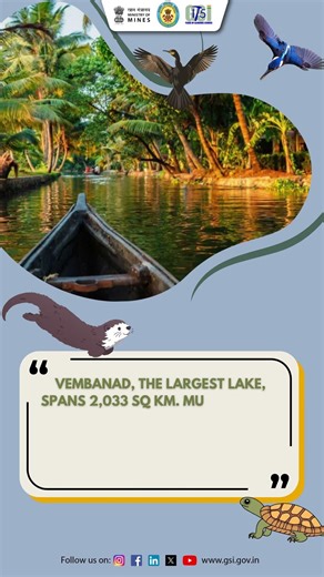 The Kerala Backwaters are not just a scenic wonder.