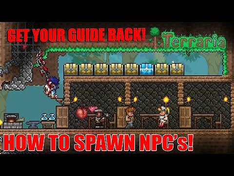 Getting new NPC's, Respawning NPC's, Walkthrough Step by Step Process