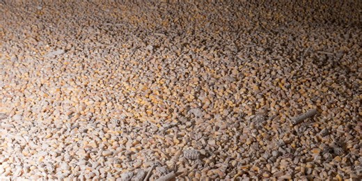 Romania defuses naval mine drifting near its coast