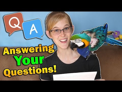 Q&A About Emily and Ed! (We're just reptile nerds...)