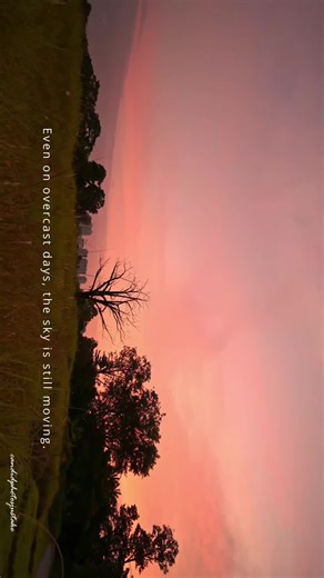 Same tree. Same view. The sky looks still at first, but patience reveals motion in the clouds, even on an overcast day. #timelapse #overcast #quietmoments #slowdown #nature