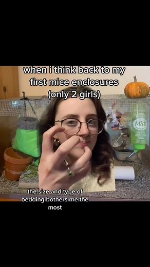 Creating a Naturalistic Mouse Enclosure for Your Fancy Mice