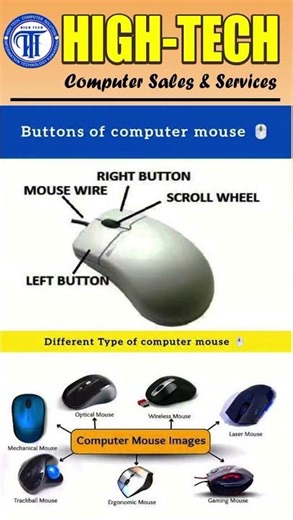 Different types of computer mouse|| Button of computer mouse/ mouse full explanation