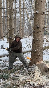 1.1M views · 5.3K reactions | Colt wanted to help take down a tree, so he helped after Chris sawed it. Listen to the typical second child u expected comment after TIMBER 浪 #ItsAlwaysTheSecondBorn #FamilyTime | Stoney Ridge Farms | Facebook