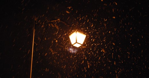 Earth Notes: Why Night Lighting Draws Winged Insects