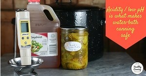 Acidity / low pH is what makes water bath canning safe