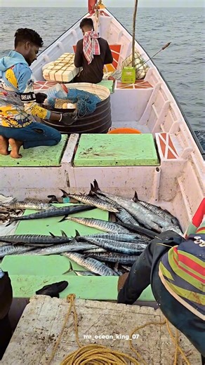 unexpected fish 🐟#spartanzz மீனவன் 💪❤️‍🔥!! #tamil #shortvideo #support #meenavan #mr_ocean_king_07