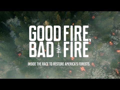Good Fire, Bad Fire: Inside the race to restore's America's forests