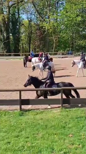 Mon galop 4 de dressage spé avec Grenade aujourd’hui 🖤 #horse #ponymalta #equestrian #pony