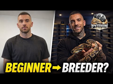 The Python Vault - From Beginner to Breeder Part 1