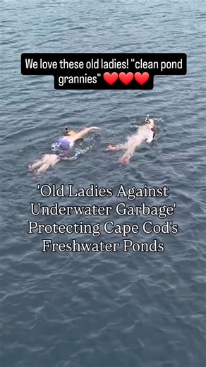 2.9K views · 122 reactions | How amazing are these ladies? 樂 ⁉️ Via @mattreednews The 'Old Ladies Against Underwater Garbage' have removed 5,000 lbs of trash from Cape Cod ponds, and they have no sign of slowing down @olaug_capecod | Moms Clean Air Force | Facebook