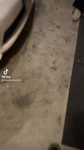 Daniel (@danielnelson486)’s videos with original sound - Daniel