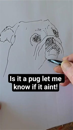 Sketch Pug with Pen