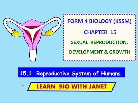 Biology Form 4 KSSM Chapter 15 (15.1) Reproductive Systems of Humans