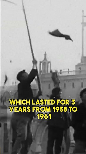 The Man who Starved Millions Because of His Hatred for Sparrows