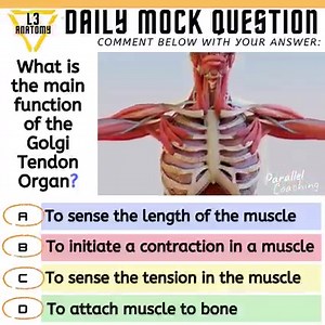 5 comments | What is the main function of the Golgi Tendon Organ❓ A....