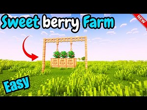 How to make Sweet berry farm Minecraft | Minecraft Making the simplest sweet berry farm 1.20+