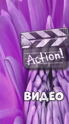 #minecraft #geysermc #crossplay