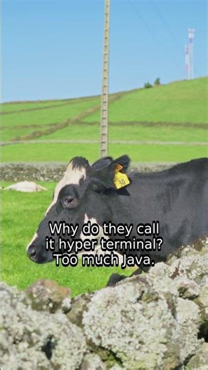 Hyper Terminal Unplugged: The Java Connection