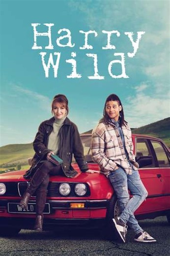 Harry Wild Season 5