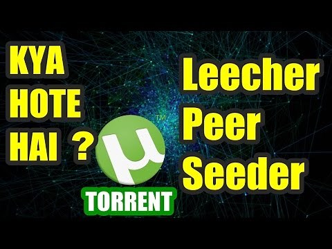 SEEDER, LEECHER & PEER Some Common Torrent Terms Explained