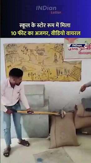 10 feet long python found in school store room, video goes viral #uttarpradesh #viralvideo #shorts